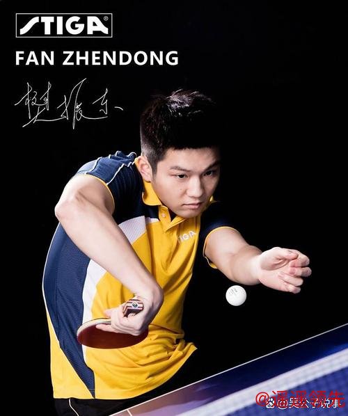 樊振东和德约科维奇 发声只为让运动更职业