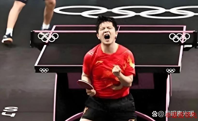 樊振东宣布退出世界排名 称无力承受国际乒联新规